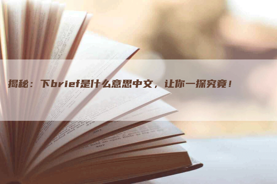 揭秘：下brief是什么意思中文，让你一探究竟！