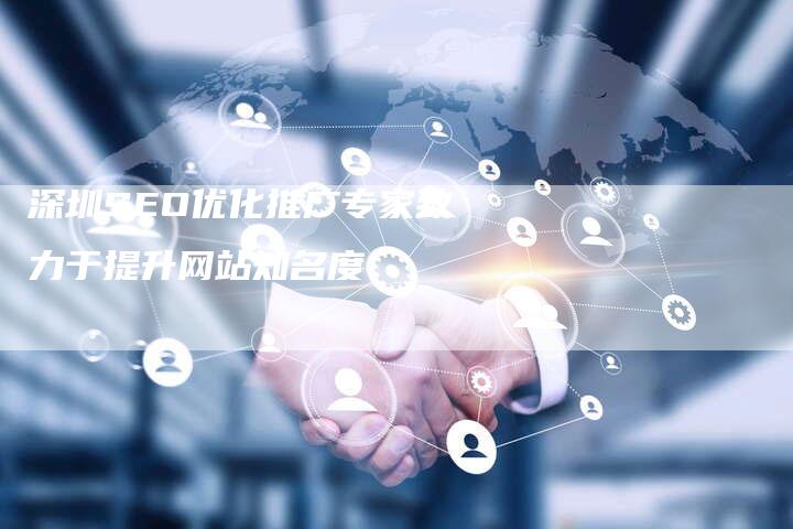 深圳SEO优化推广专家致力于提升网站知名度