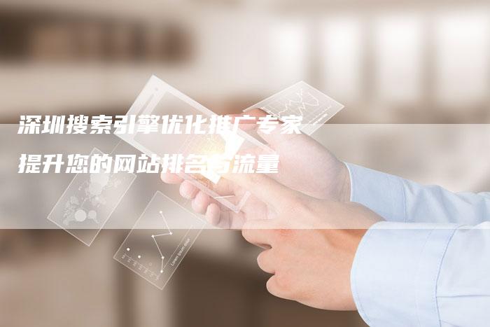 深圳搜索引擎优化推广专家提升您的网站排名与流量