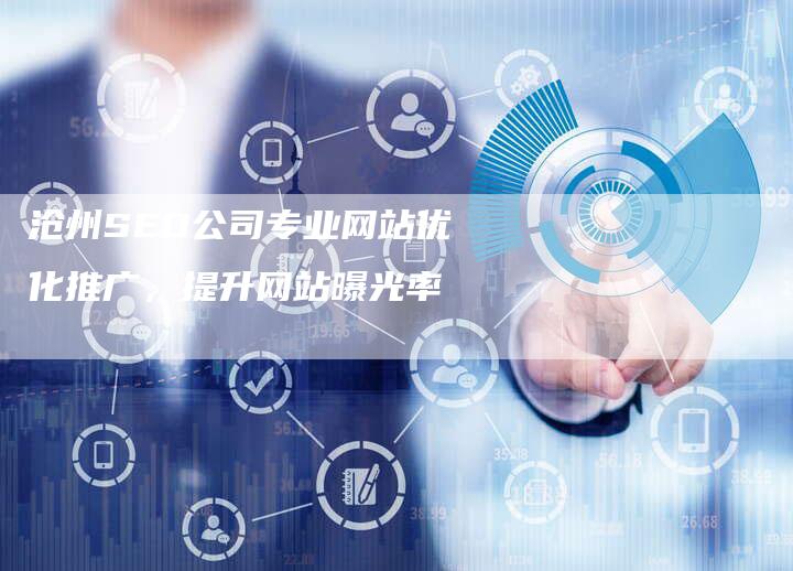 沧州SEO公司专业网站优化推广，提升网站曝光率