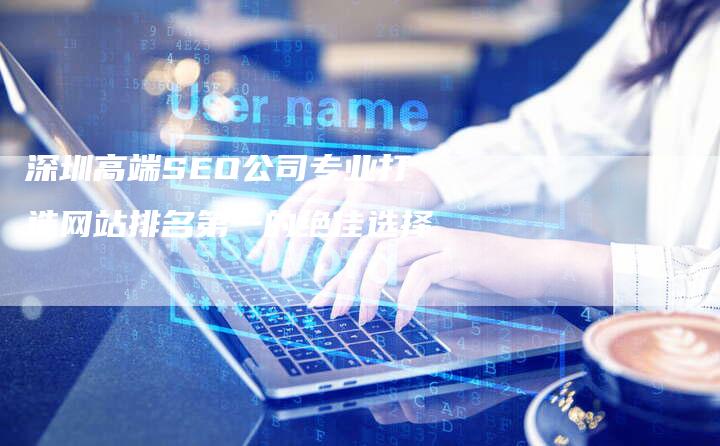 深圳高端SEO公司专业打造网站排名第一的绝佳选择