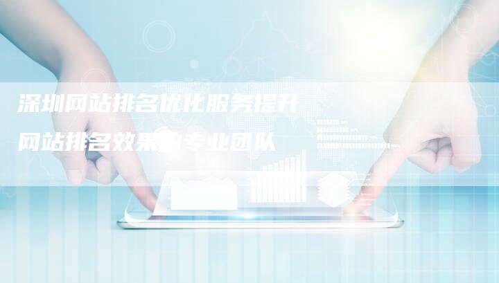 深圳网站排名优化服务提升网站排名效果的专业团队